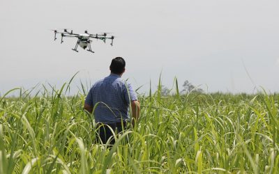 Drones y Agricultura, mejora de los tratamientos fitosanitarios